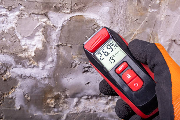 Best Professional Mold Removal  in Hamilton, AL