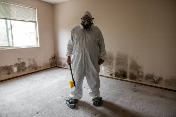 Best Emergency Mold Removal  in Hamilton, AL